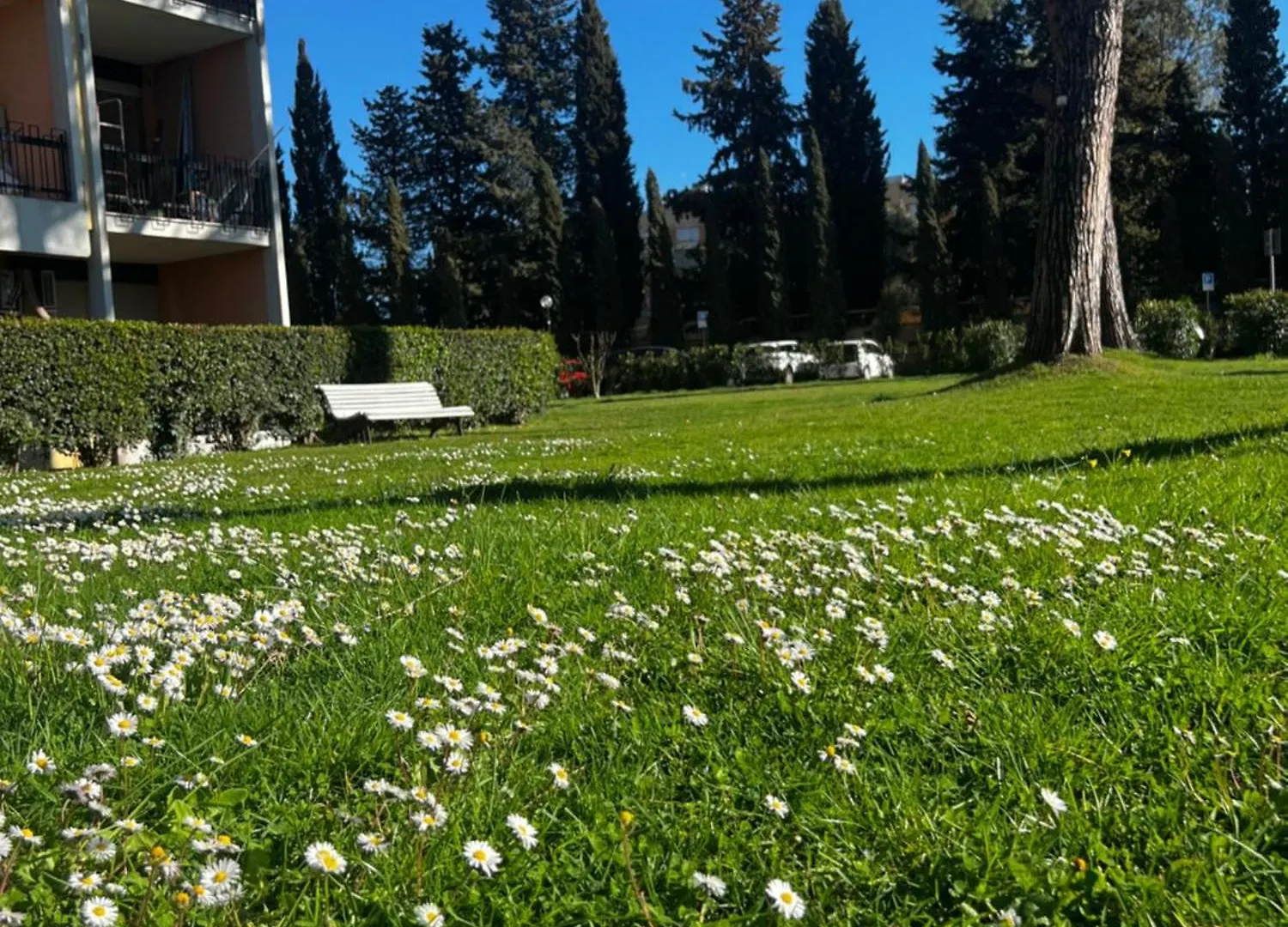 Parco Tirreno Hotel Roma